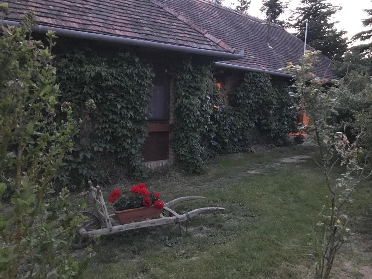 Vadszolos Porta Ispánk Exterior foto
